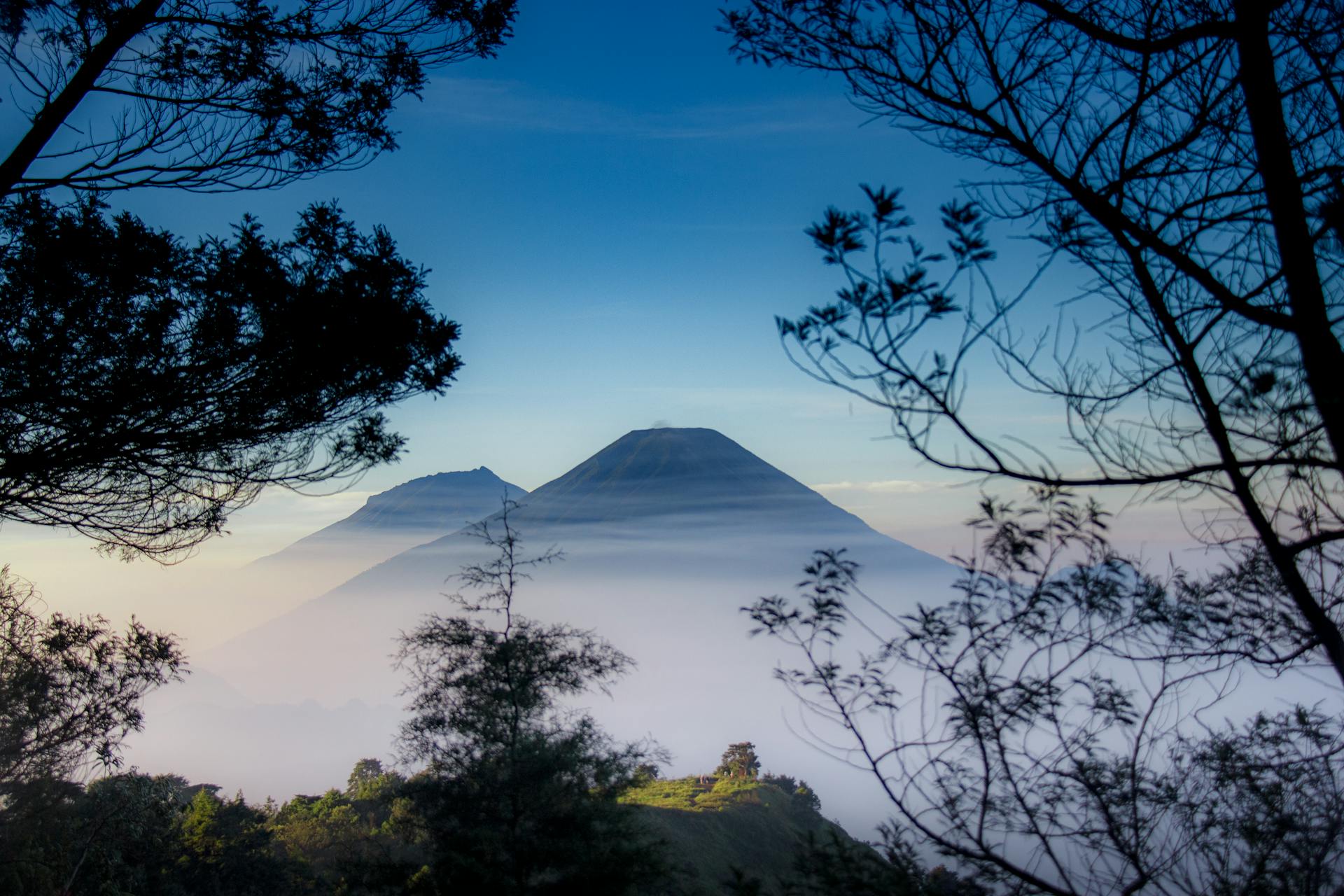 Terapia akceptacji i zaangażowania ACT w pracy z padaczką